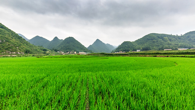 貴州旅游沿途風(fēng)景