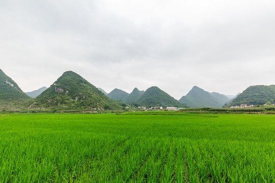 貴州旅游沿途風景