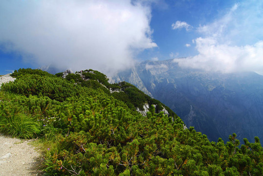 阿爾卑斯山脈