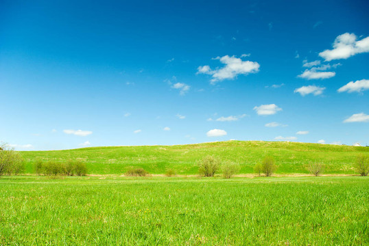 一片草地的風(fēng)景