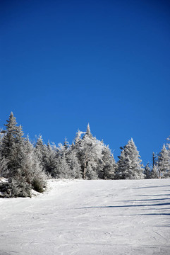 滑雪山