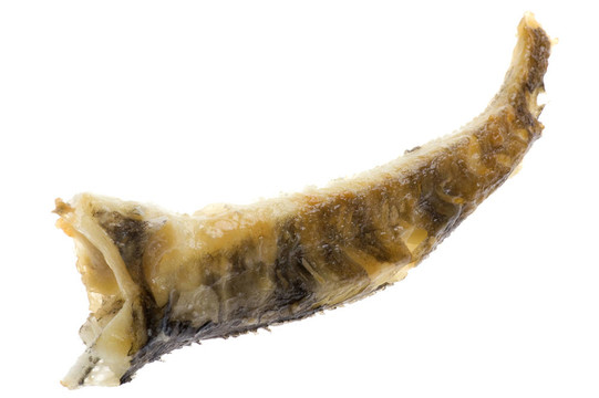 油炸的魚
