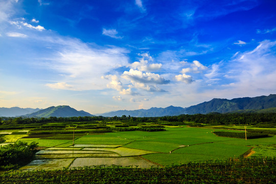 貴州旅游沿途風(fēng)景