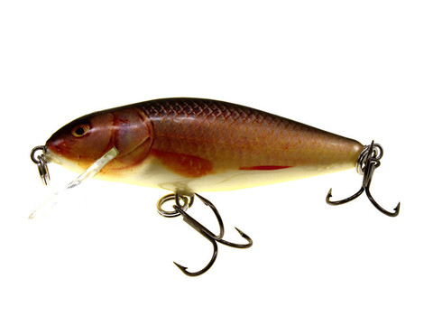 紅色的舊漁船搖擺的小魚(yú)苗