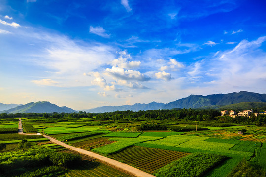 貴州旅游沿途風(fēng)景
