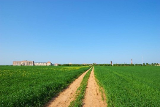 穿越綠地的道路