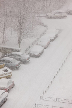 降雪下的汽車
