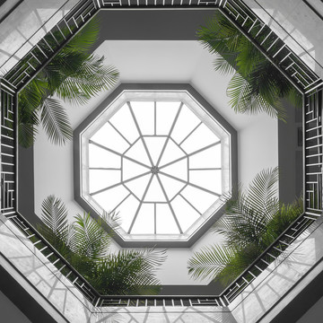 屋頂