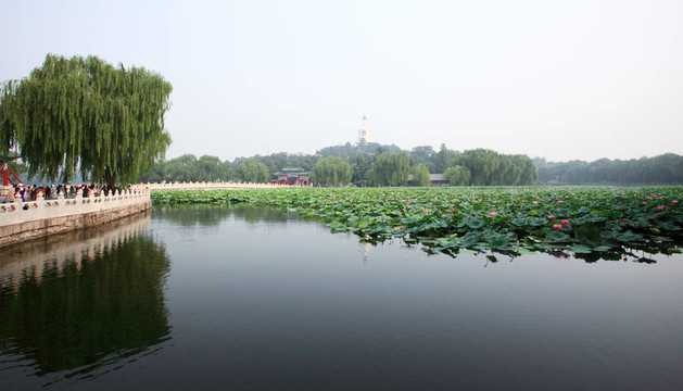 北海公園附近的故宮-北京