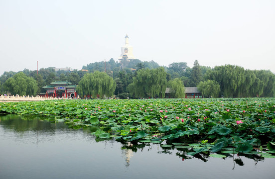 北海公園附近的故宮-北京
