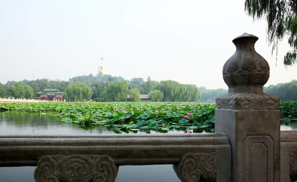 北海公園附近的故宮-北京