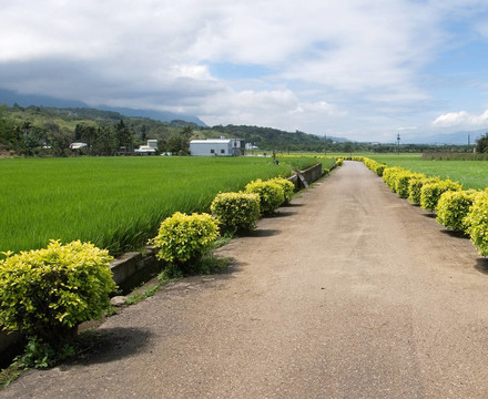 路