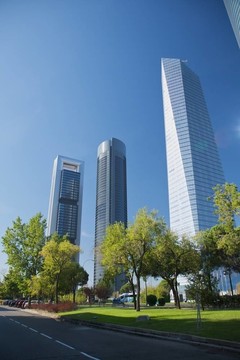 樹(shù)木和三個(gè)塔