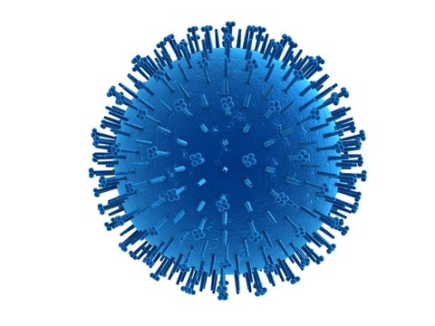 甲型H1N1流感病毒