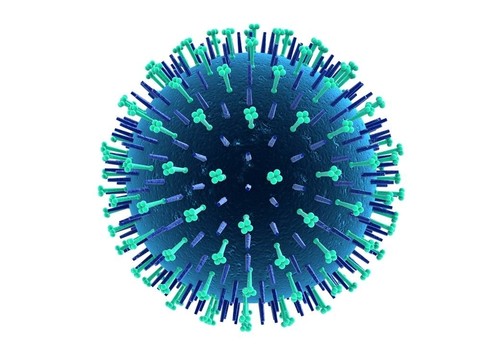 甲型H1N1流感病毒