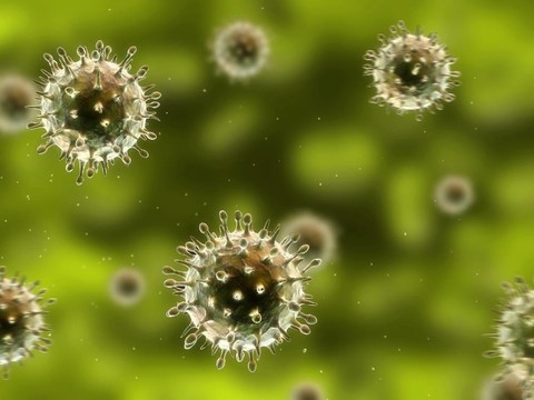甲型H1N1流感病毒