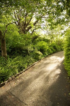 公園瀝青軌道