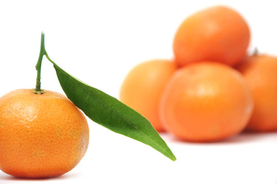 孤立的Tangerine夜店與白色背景上的葉子
