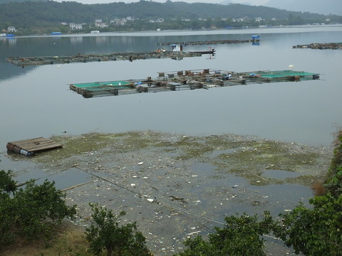 清江網(wǎng)箱養(yǎng)魚