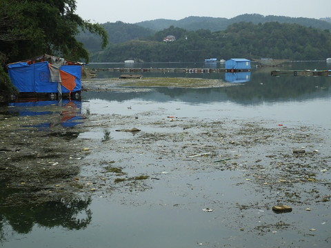 清江網(wǎng)箱養(yǎng)魚