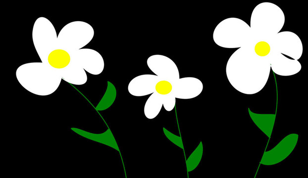雛菊