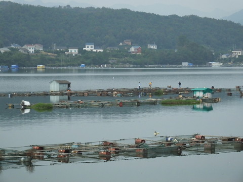 清江網(wǎng)箱養(yǎng)魚