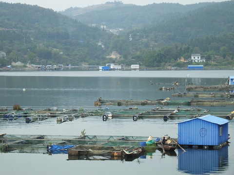 清江網(wǎng)箱養(yǎng)魚