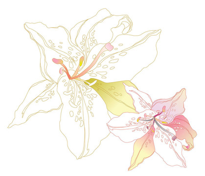 花