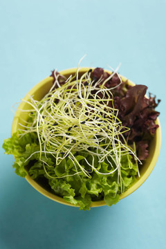 豆芽沙拉