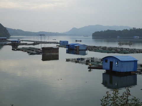 清江網(wǎng)箱養(yǎng)魚