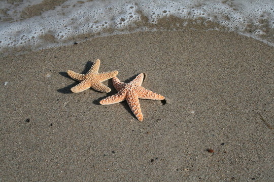 躺在Beach