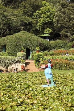 植物園