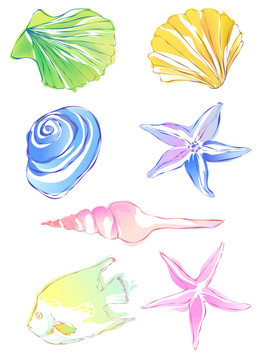 海星和貝殼