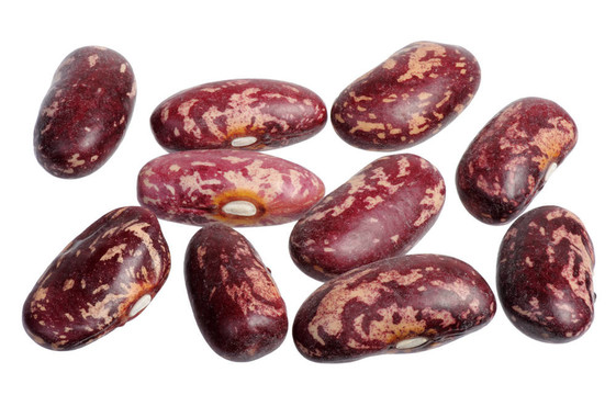 斑點(diǎn)豆；分離