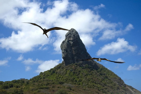 Fernando de Noronha -巴西