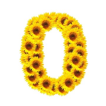字母的花