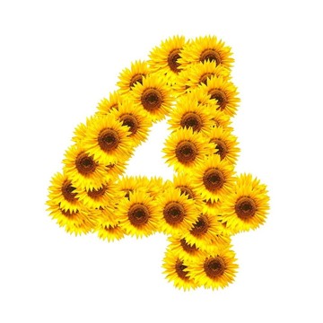 字母的花