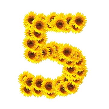 字母的花