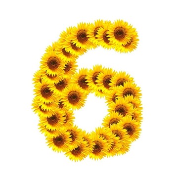 字母的花