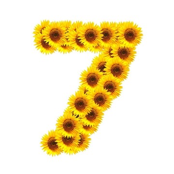 字母的花