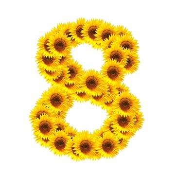 字母的花