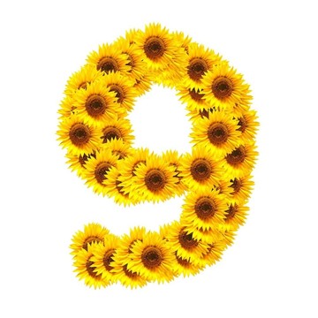 字母的花