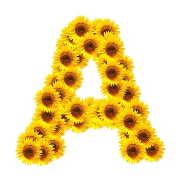 字母的花