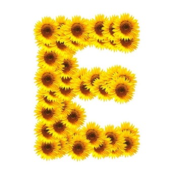 字母的花