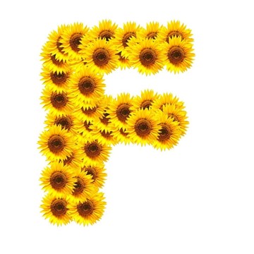 字母的花