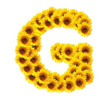 字母的花