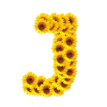 字母的花