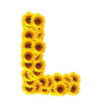字母的花