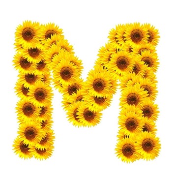 字母的花