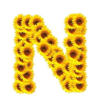 字母的花